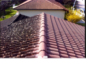 Garantir un meilleur confort dans la maison en isolant la toiture