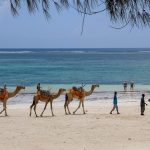 Des moments d’aventures et de découvertes lors des vacances au Kenya