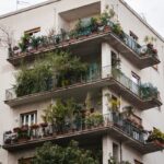 potager sur le balcon de son appartement.