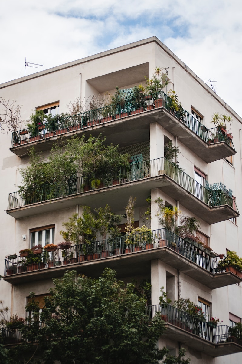 potager sur le balcon de son appartement.