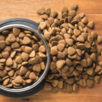 Alimentation saine pour chiens : focus sur les croquettes light