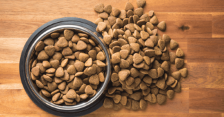 Alimentation saine pour chiens : focus sur les croquettes light