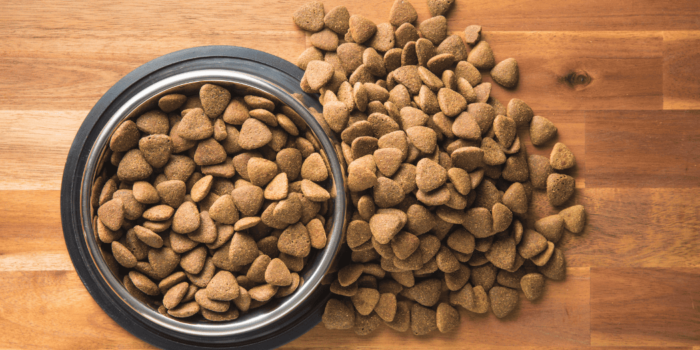 Alimentation saine pour chiens : focus sur les croquettes light