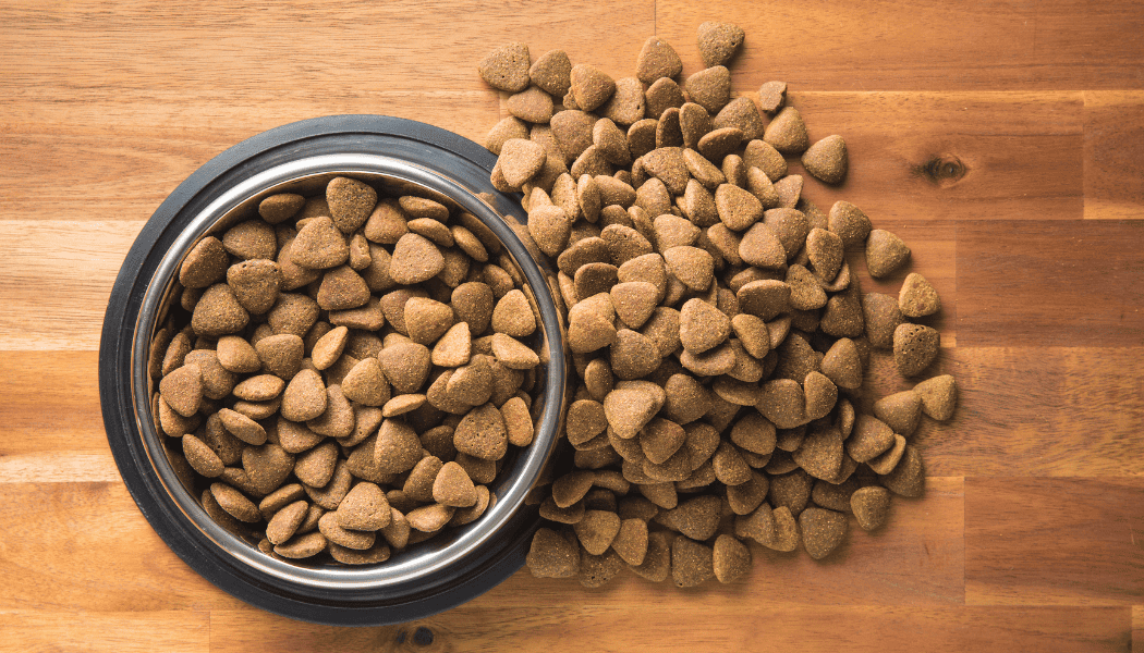 Alimentation saine pour chiens : focus sur les croquettes light