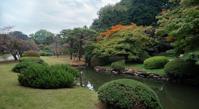 parcs nationaux du Japon