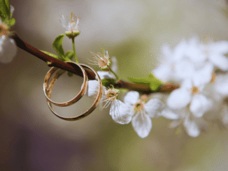 deux bagues de mariage