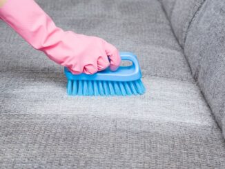 Nettoyer l’urine de chien sur un canapé en tissu