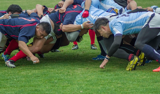 rugby mondial rugby mondial